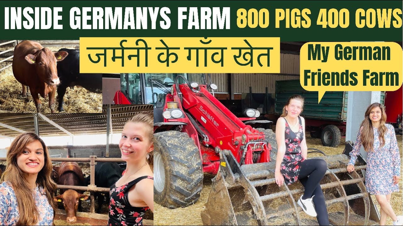 Деревня Германия|Ферма моих немецких друзей|Деревни в Германии🇩🇪
