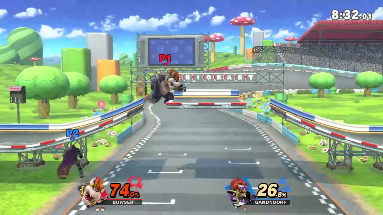 Bowser 16