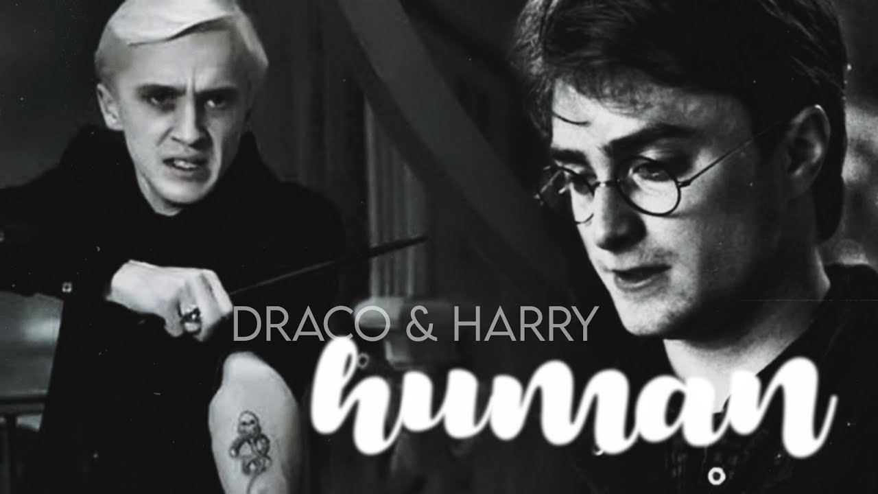 Draco & Harry | 