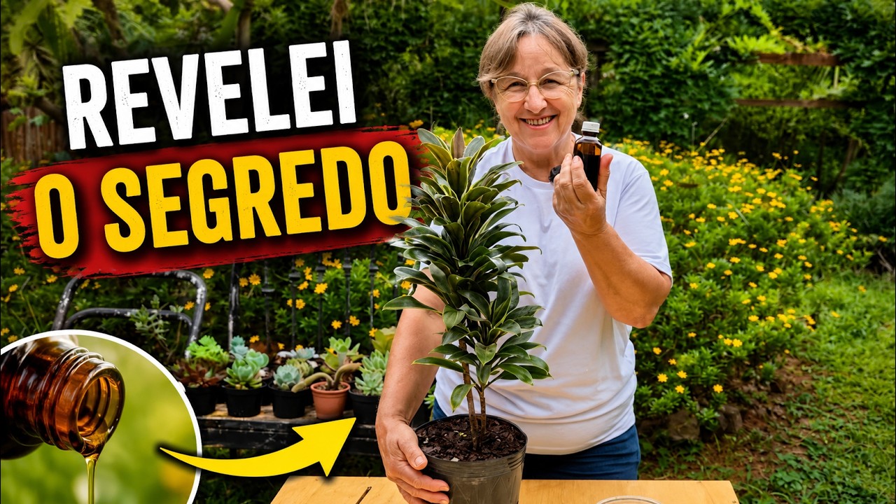 REVELEI O SEGREDO QUE MANTÉM AS PLANTAS PROTEGIDAS DOS FUNGOS
