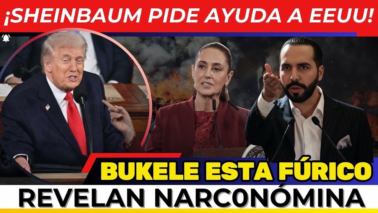 ¡SHEINBAUM PIDE AYUDA A EEUU! Trump queda en evidencia. BUKELE enfurece Claudia le quita el TRONO.