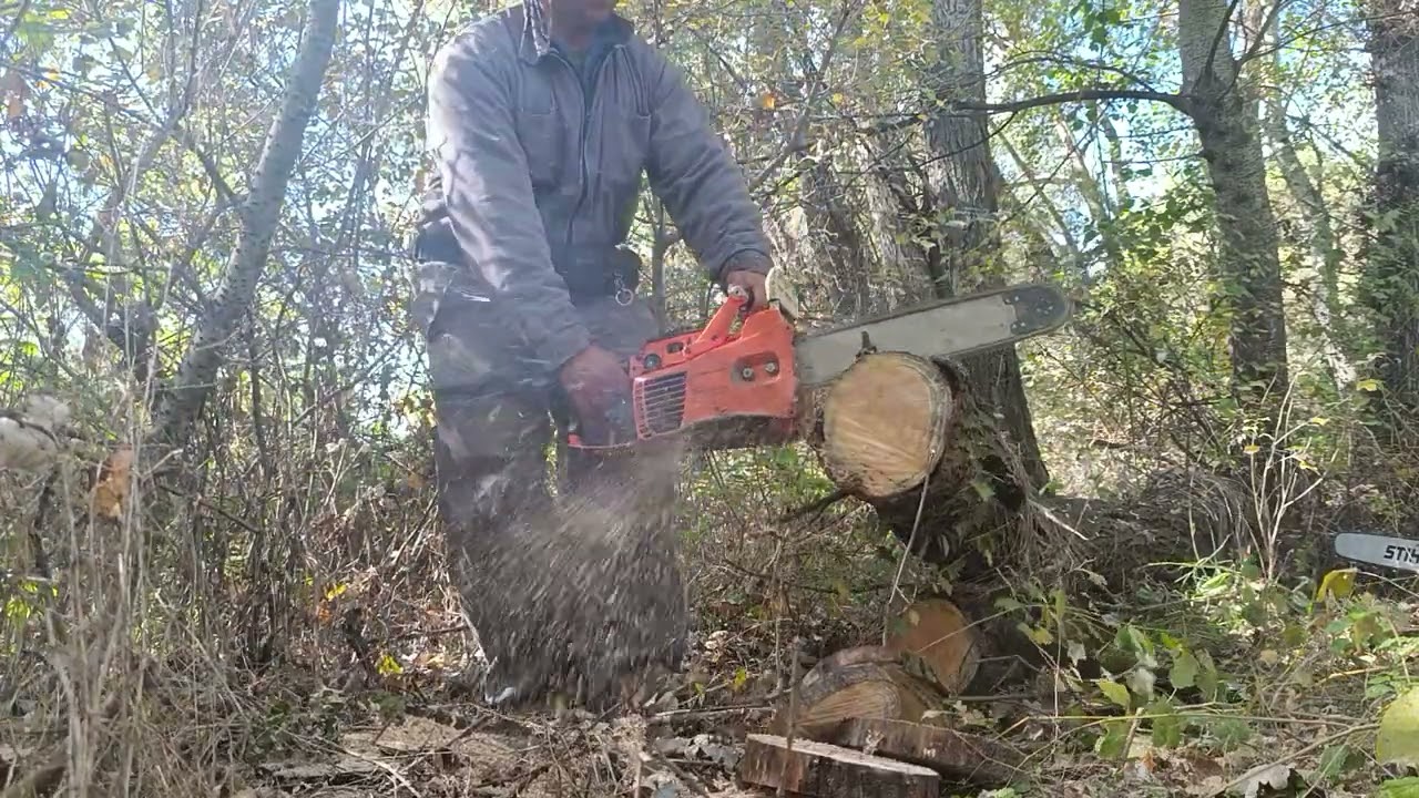 ECHO 510EVL test.... beautiful chainsaw 