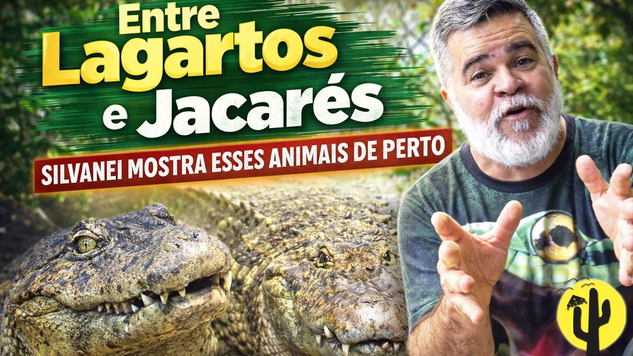 Entre Lagartos e JACARÉS: Silvanei Mostra Esses Animais de Perto - Última Parte 🌵