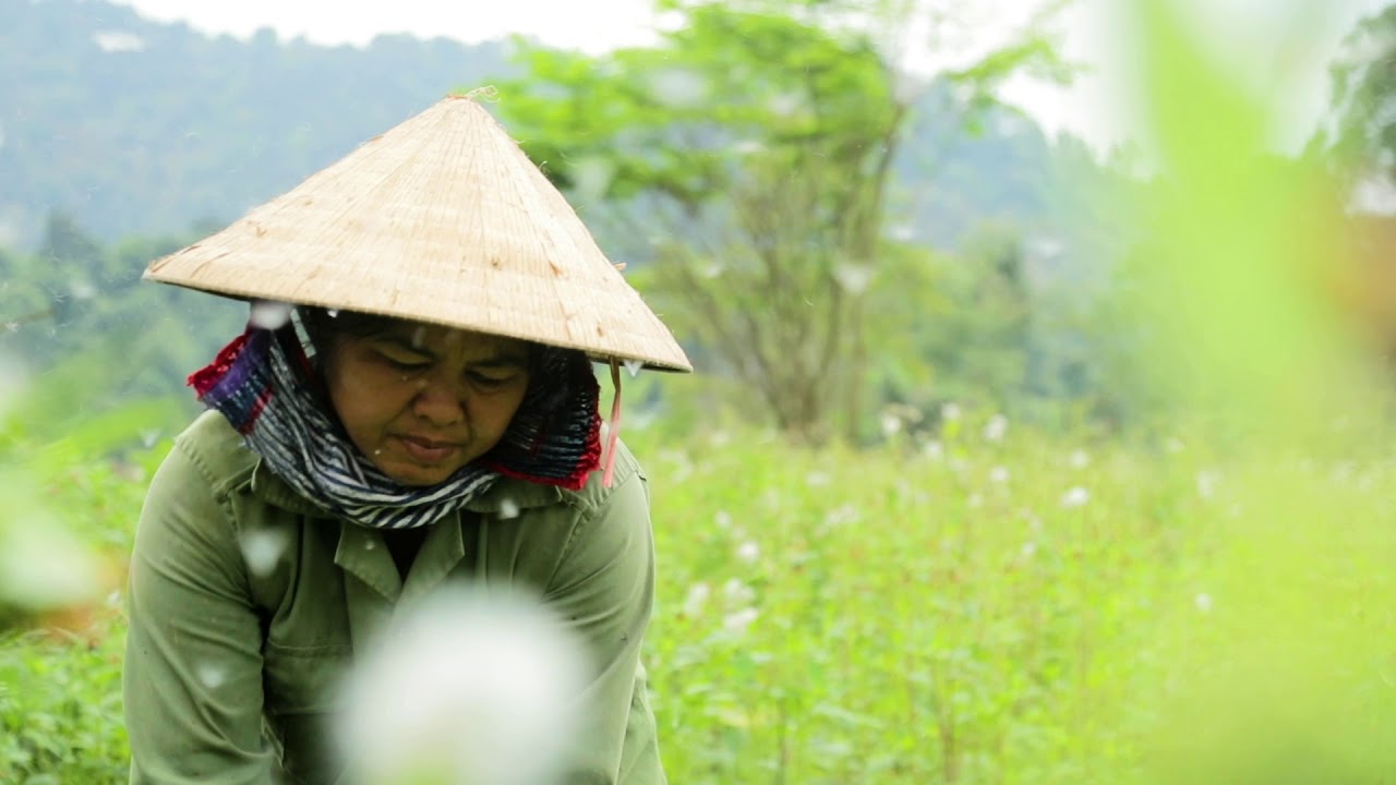 HUONG SON NATURE | Land of opportunities