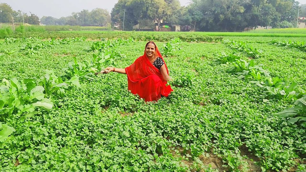 धनिया और आलू की सुखी सब्जी के साथ गरमा गरम रोटी खाने को मिल जाय तो खाने मजा आ जाये || Dhaniya aloo
