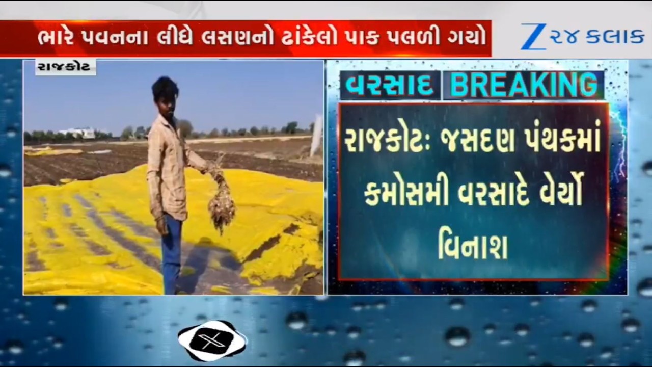 Gujarat: Farmers face severe crop loss due to unseasonal rainfall, hailstorm in Rajkot's Jasdan