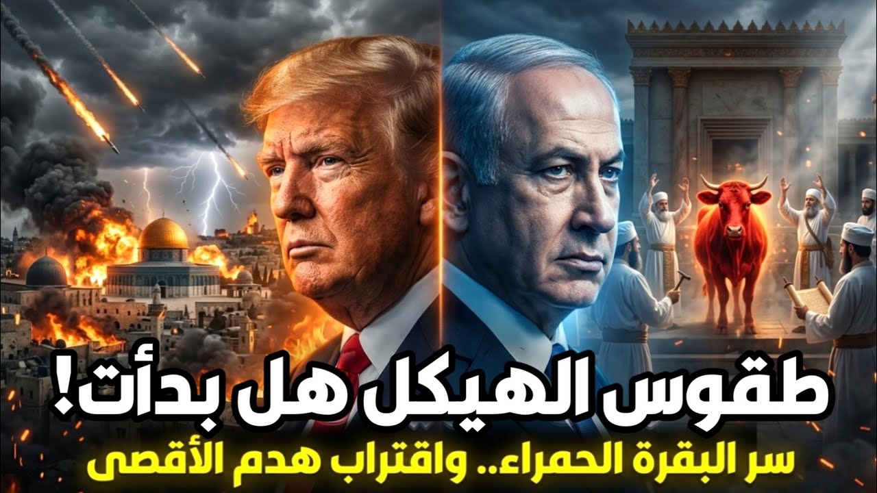 هيكل نتنياهو 2026: سر البقرة الحمراء واقتراب هدم الأقصى | أخطر نبوءة تتحقق الآن!