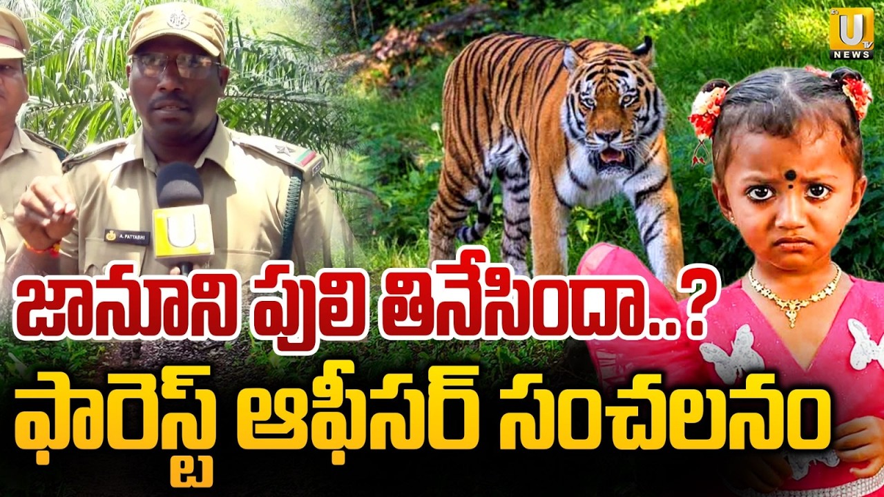 Jahnavi Missing Case: Forest Officer Reveals Crucial Details About Search Operation! | ITS UTV