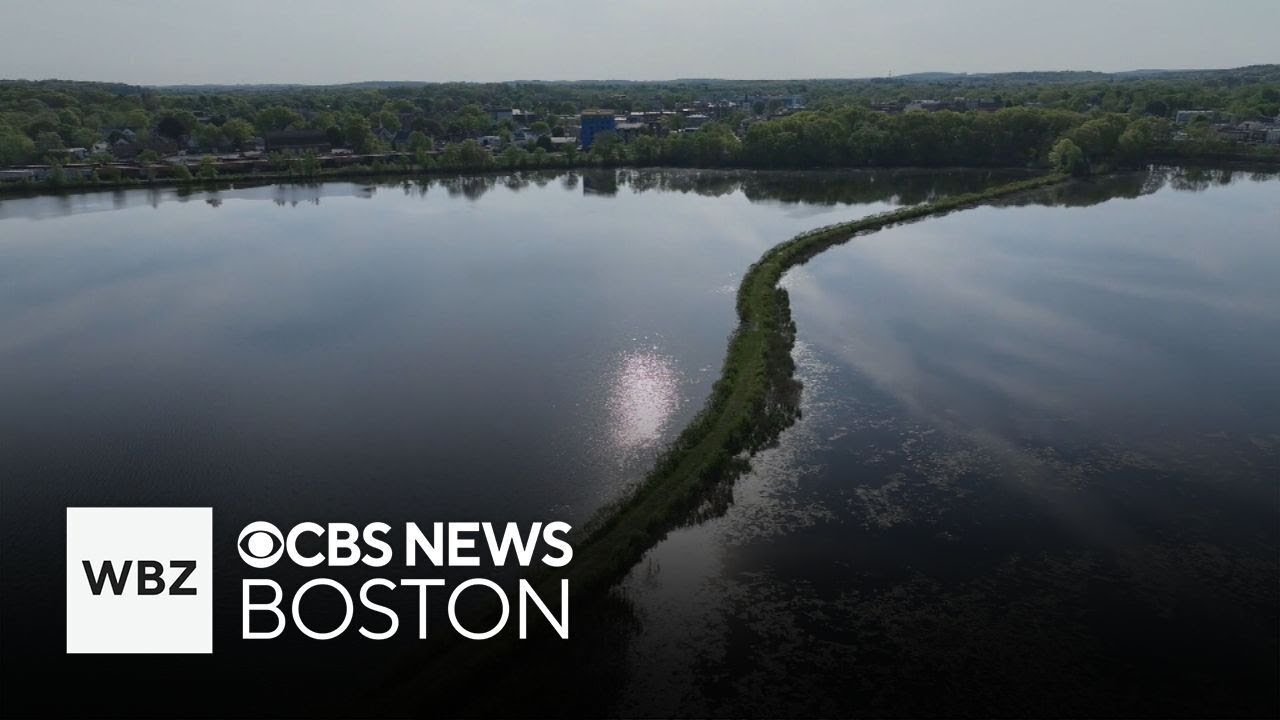 Visitors get the opportunity to walk on water with special trail at Framingham park