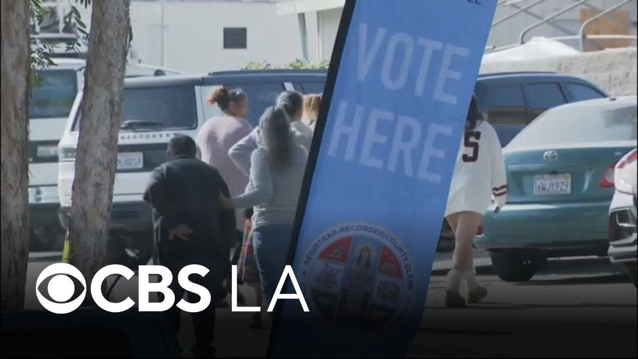 LA City Council proposal aims to let noncitizens vote in local elections