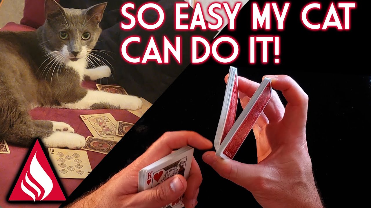 4 EASY False Cuts Tutorial | Begginer Cardistry/Magic