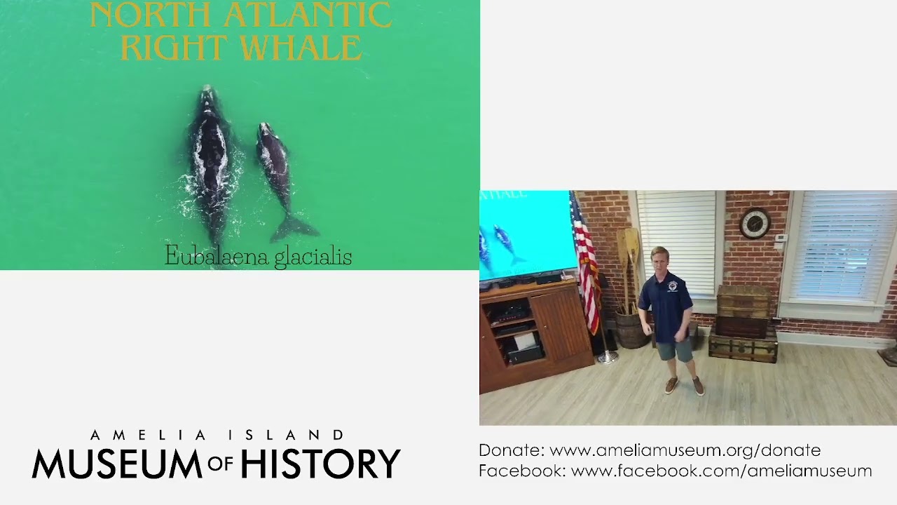 3rd on 3rd: Listening for Whales to Rescue with Nick Williams