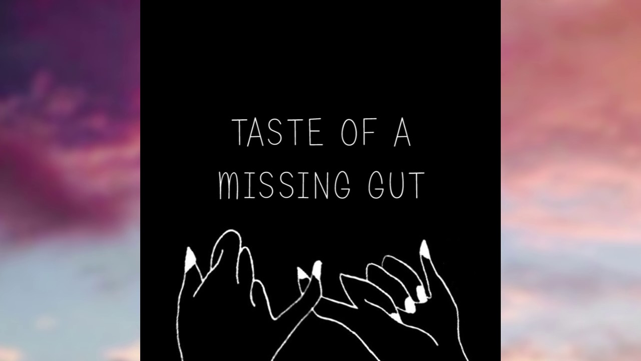 phelto: Taste Of A Missing Gut (A Field Of EP)