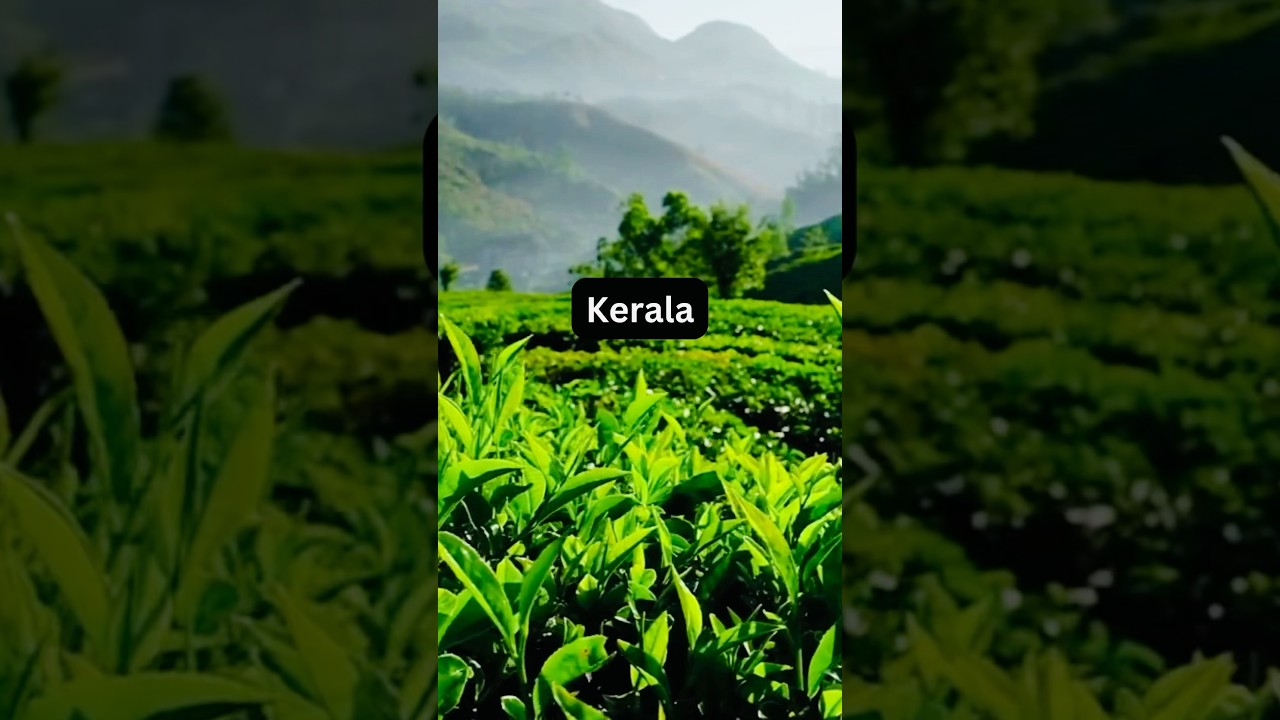 Top 5 Indian States For Ayurveda Retreats. #shorts #india