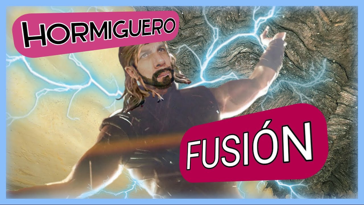 🚩Cómo hacer EL MEJOR Hormiguero para NEOPONERA (Compuesto CERAMICO/Madera)