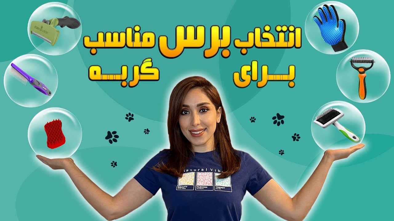 بهترین برس و شانه برای گربه | معرفی انواع برس و شانه گربه |راهنمای انتخاب برس برای گربه
