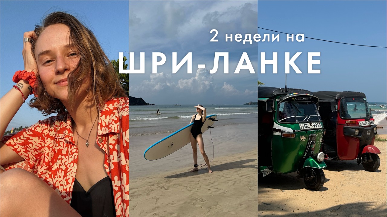 2 недели на Шри-Ланке: серфинг, черепахи и джунгли | Влог | Karolina K