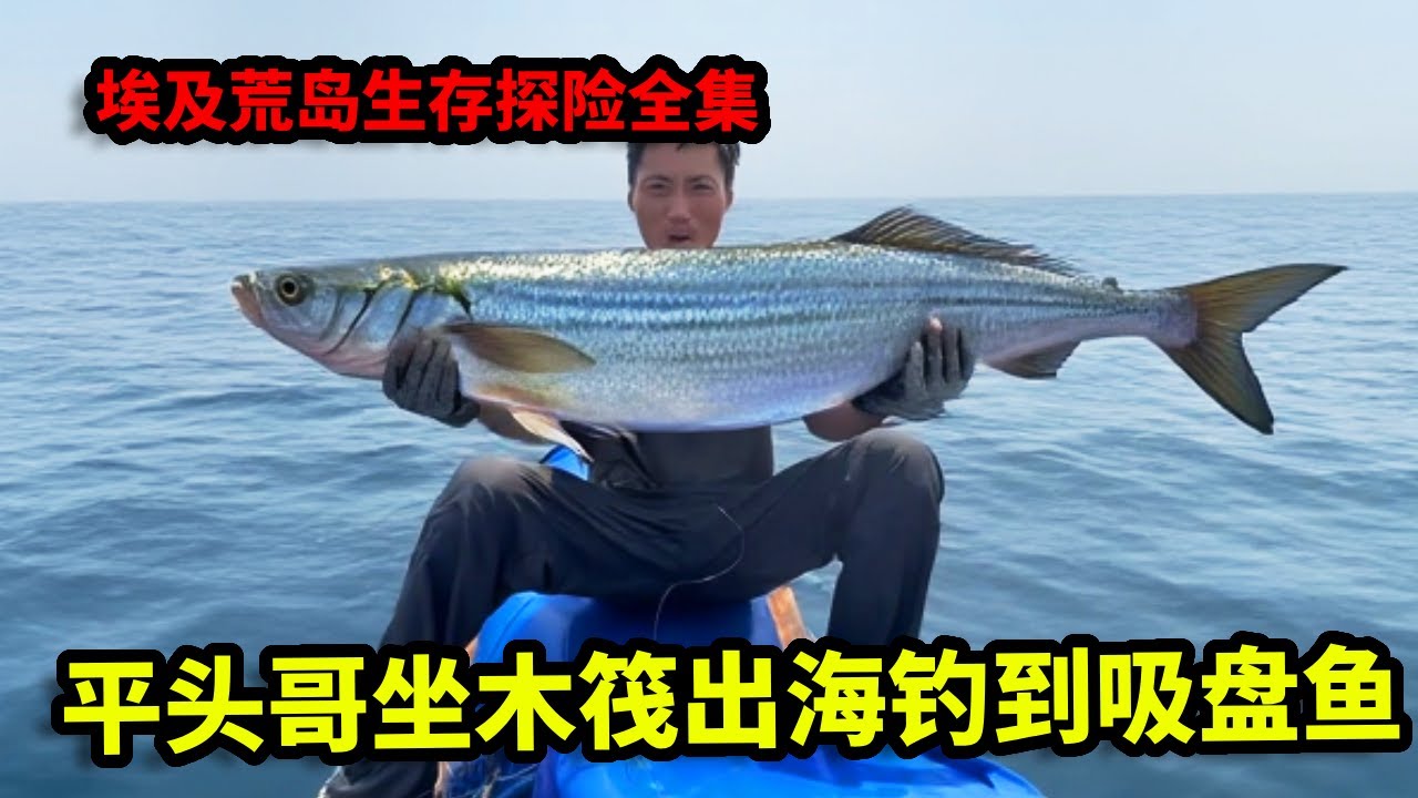 埃及荒岛生存探险全集：平头哥坐木筏出海钓到吸盘鱼，收获巨型扇贝和八爪鱼，又是丰收的一天【户外平头哥】