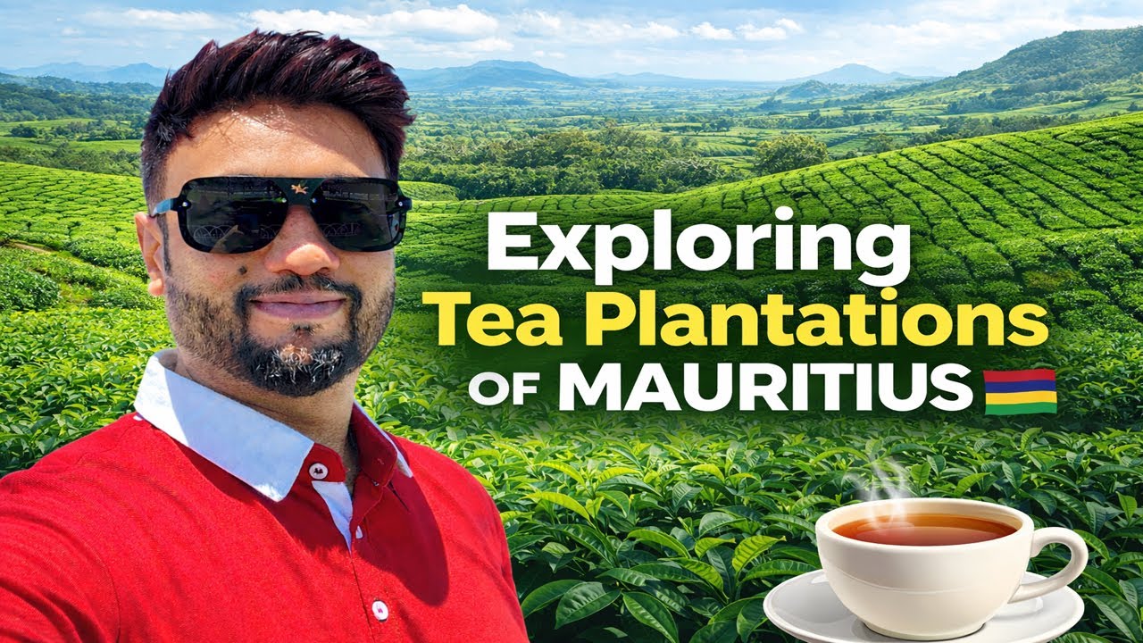 Exploring Tea Plantations of Mauritius: A Scenic Journey | Pakistani In Mauritius 🇲🇺