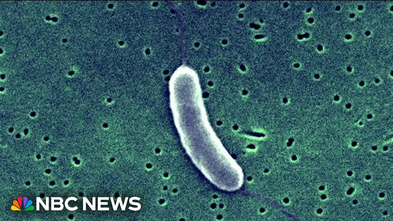 Two dead after getting flesh-eating bacteria from raw oysters in Louisiana