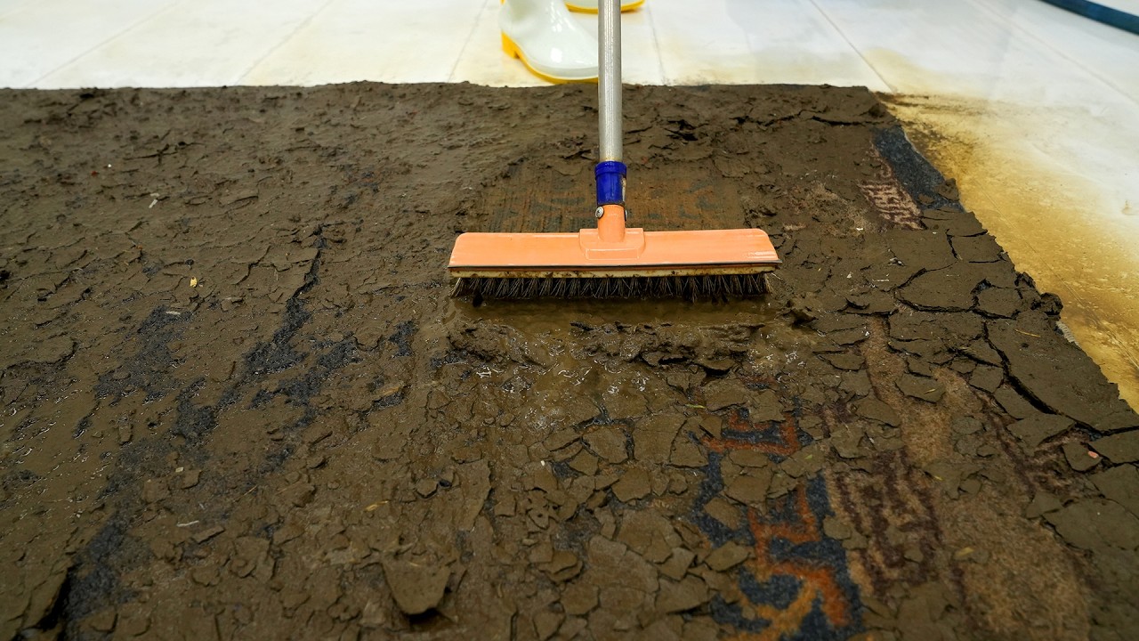 From Disaster to Beautiful: The Most Satisfying Carpet Rescue You’ll See Today - Satisfying Video