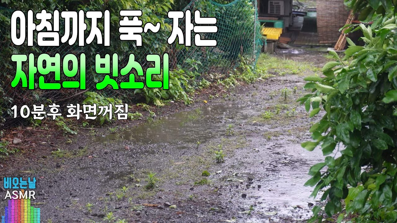 듣자마자 아침까지 푹 자는 자연의 빗소리/ 이명치료효과/ 10분후 화면꺼짐