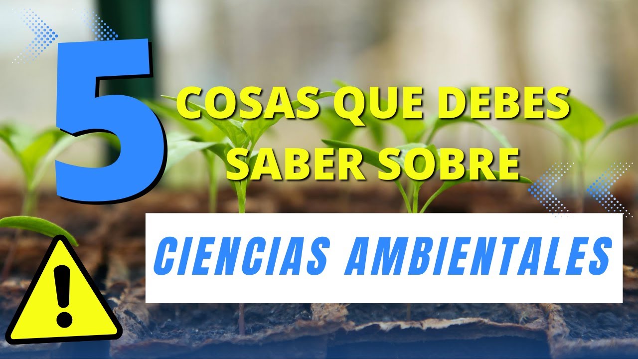 ✅Ciencias Ambientales: 5 cosas que debes saber antes de estudiar este grado - UpGuire