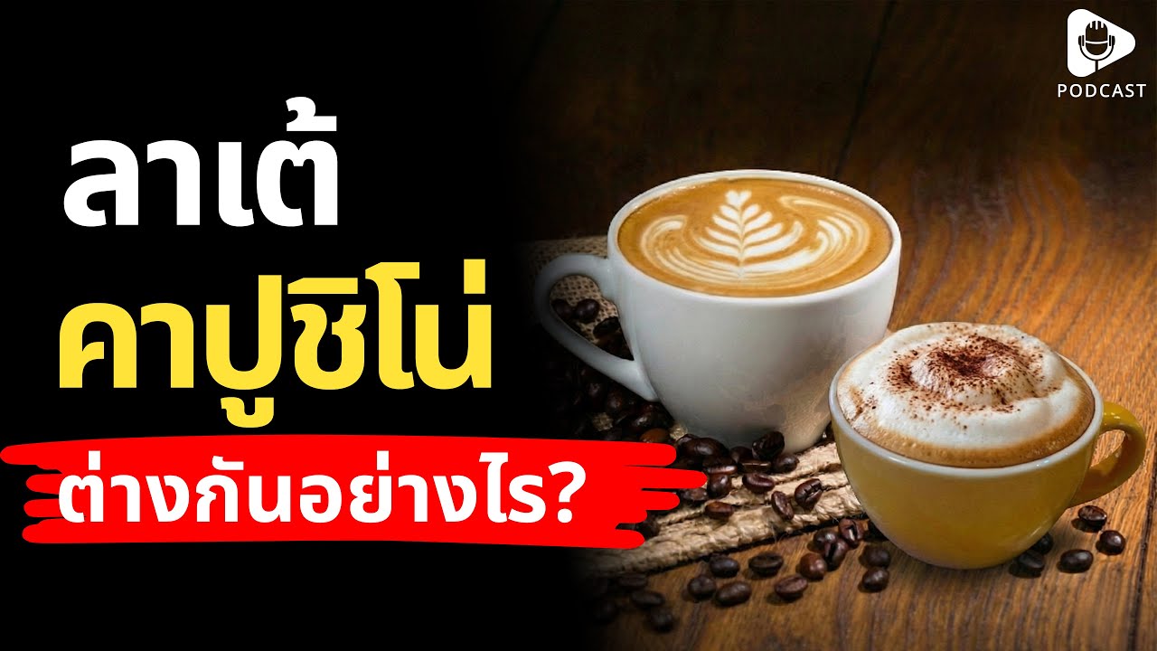 ไขข้อสงสัย คาปูชิโน่ กับ ลาเต้ ต่างกันยังไง? | เรื่อง (ไม่) รู้รอบตัว