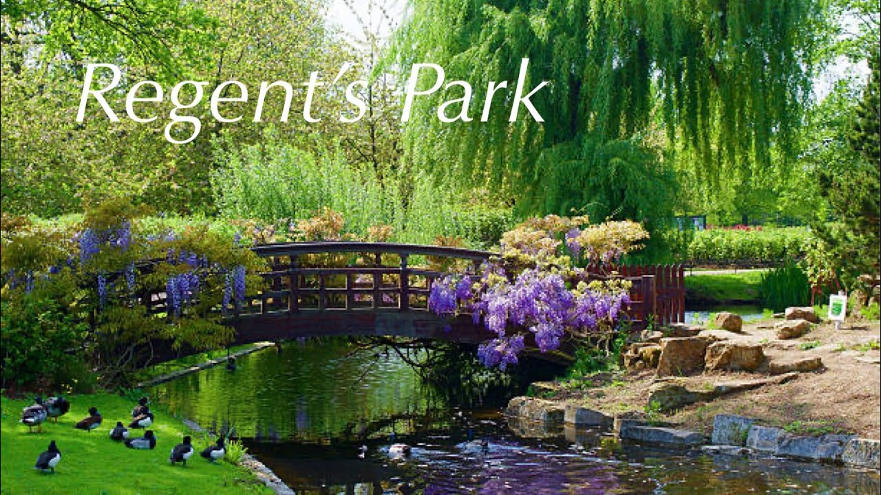 Regent&rsquo;s Park | Royal Parks, London
