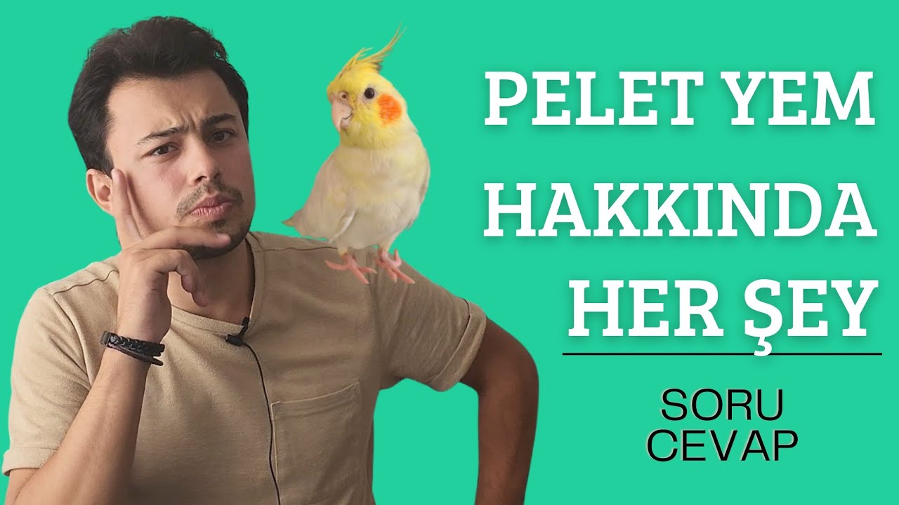 PELET YEM HAKKINDA HER ŞEY