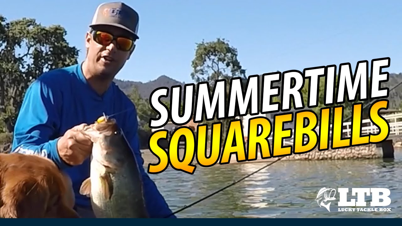 How To Fish Squarebills in Summer | Lucky Tackle Box Tips