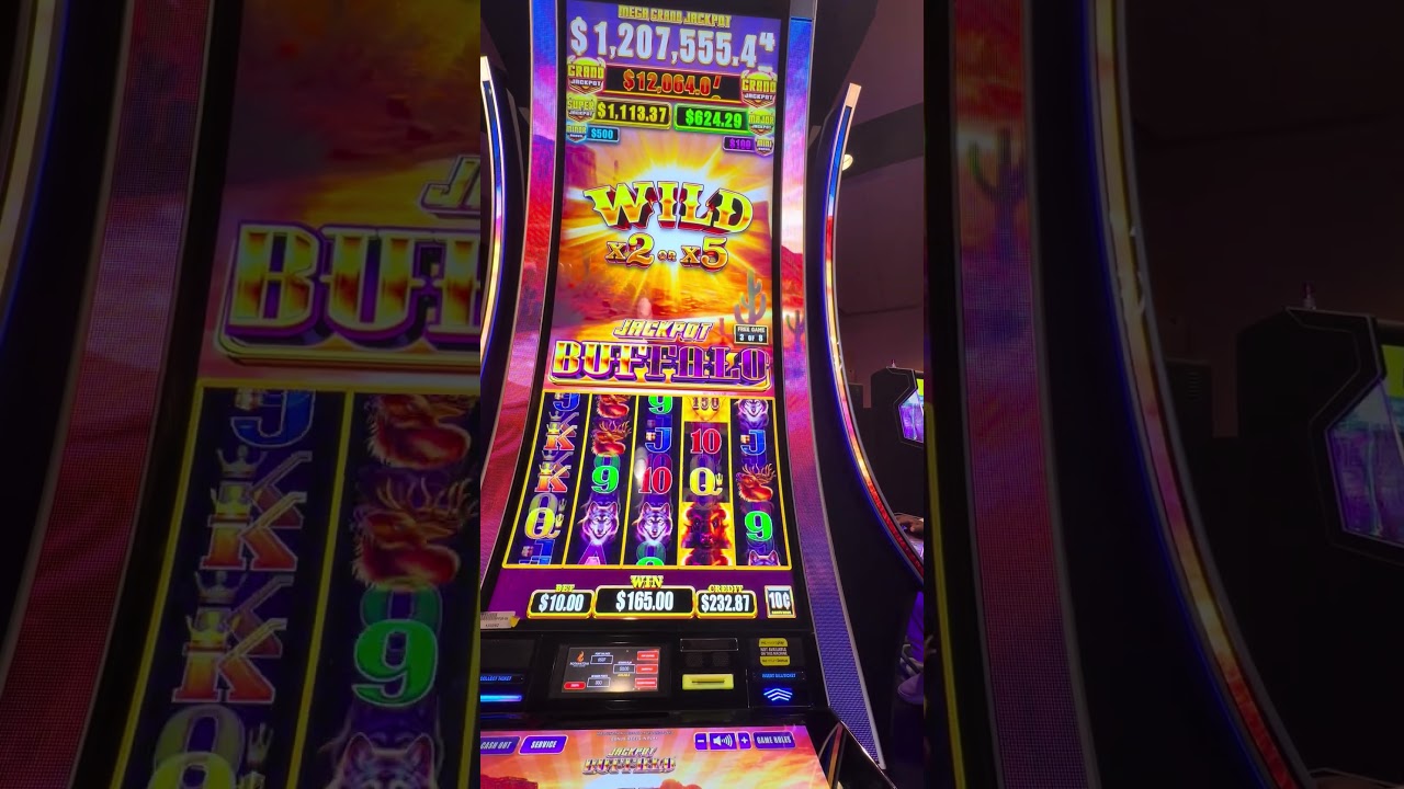 Jackpot Buffalo: вращения на 10 долларов и бонусное колесо удачи! Выиграли?? #fyp #fypシ #fypシ゚vir...