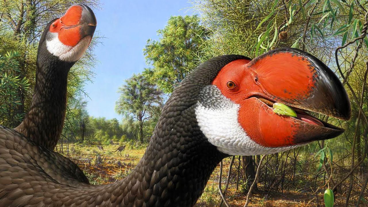 The Demon Ducks of Prehistoric Australia