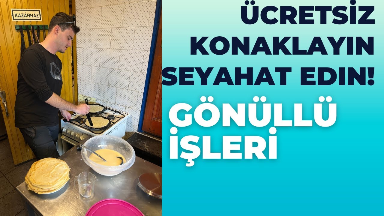 Worldpackers Başvuru Rehberi: Gönüllü İşleri Nasıl Seçilir ve Onaylanır?