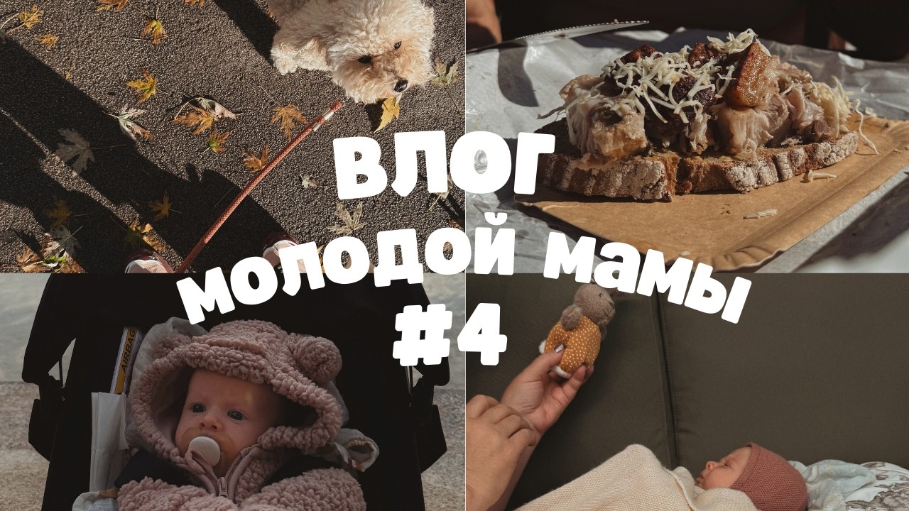 ЗНАКОМСТВО с бабшкой, впервые ОДНА с младенцем - мы опять в Вене