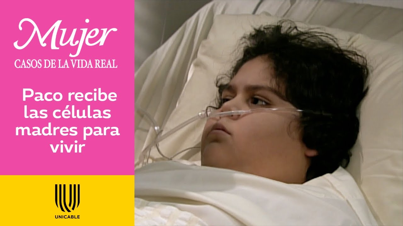 Mujer, casos de la vida real 3/3: Gracias al cordón umbilical de un bebé, Paco sobrevive | La Luz