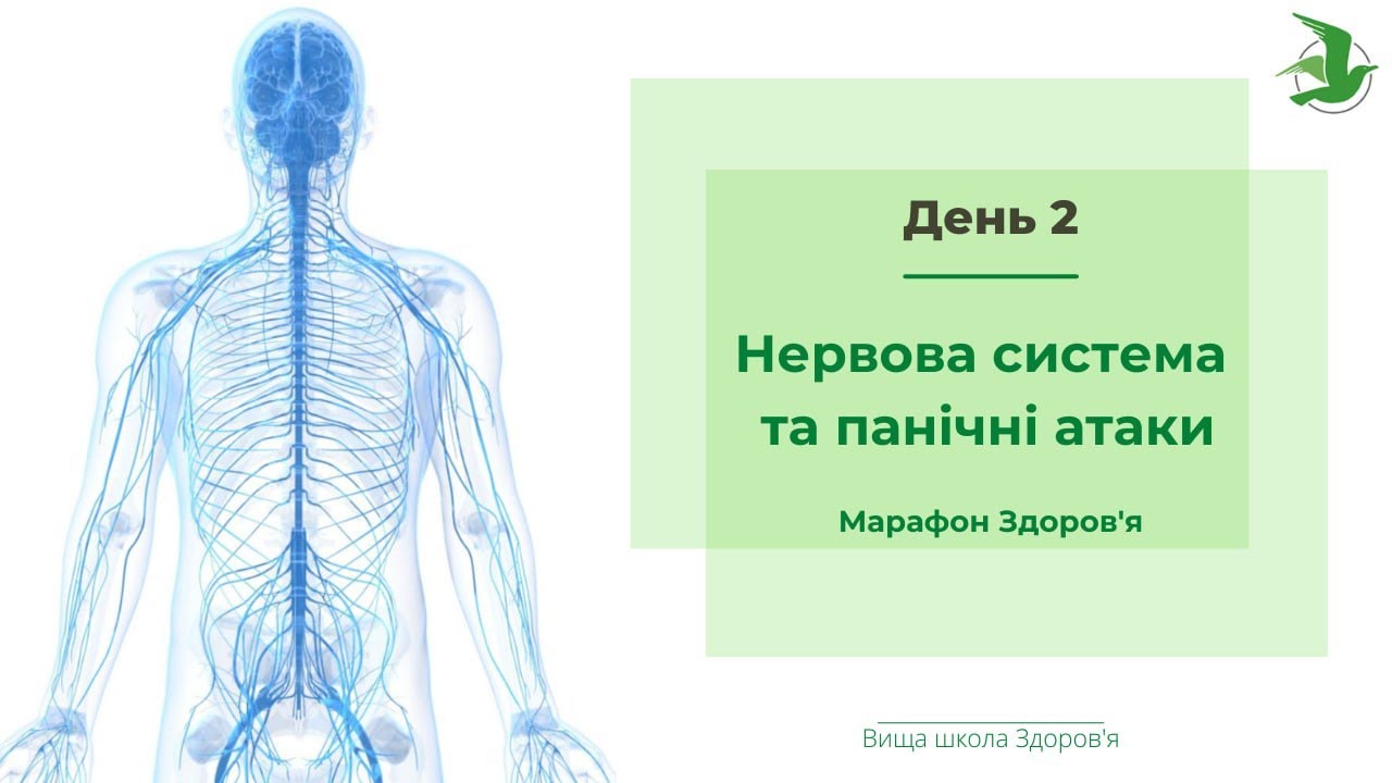 День 2. Стрес, нерви, паніка. Як вийти з цього стану ефективно і швидко. Марафон лікаря Василя Чайки