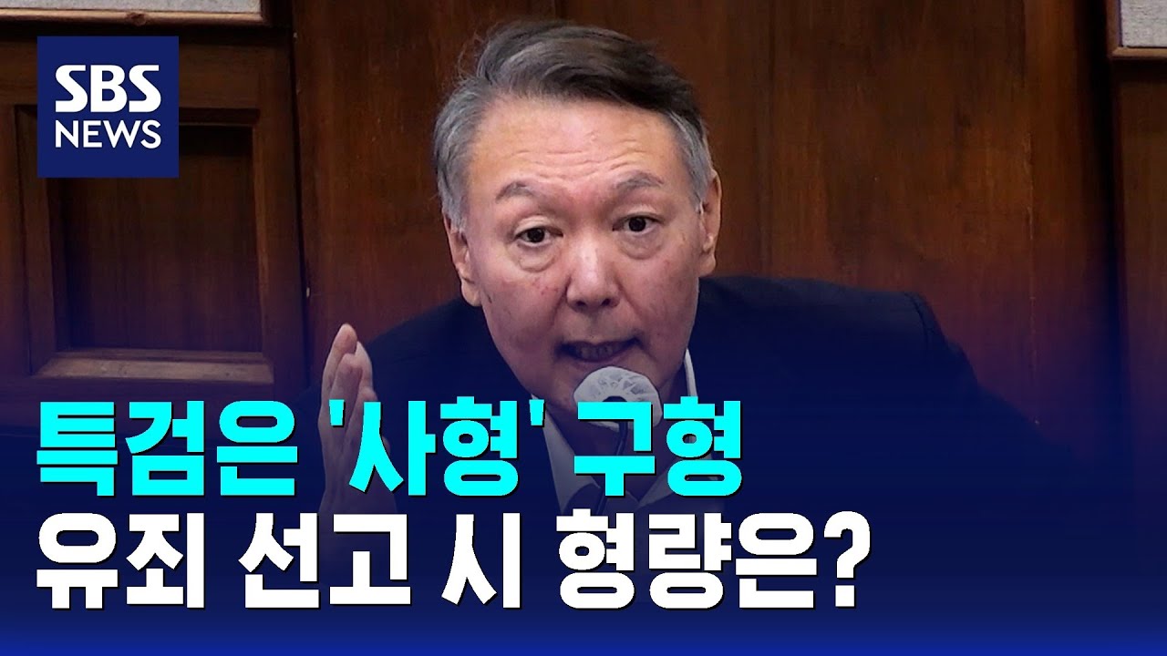 특검은 '사형' 구형…유죄 선고 시 형량은? / SBS