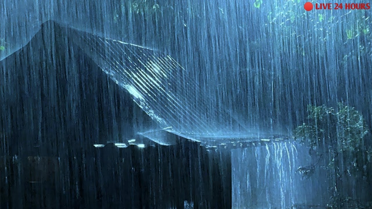 Goodbye Insomnia with Heavy Rain & Thunder Growls on a Stale Tin Roof in Foggy Murky Forest Night🌧️
