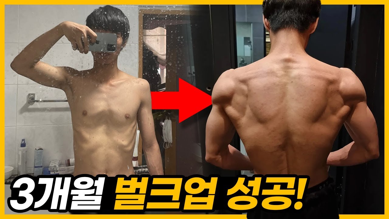 벌크업 루틴&식단 공개 | 메루치성공사례
