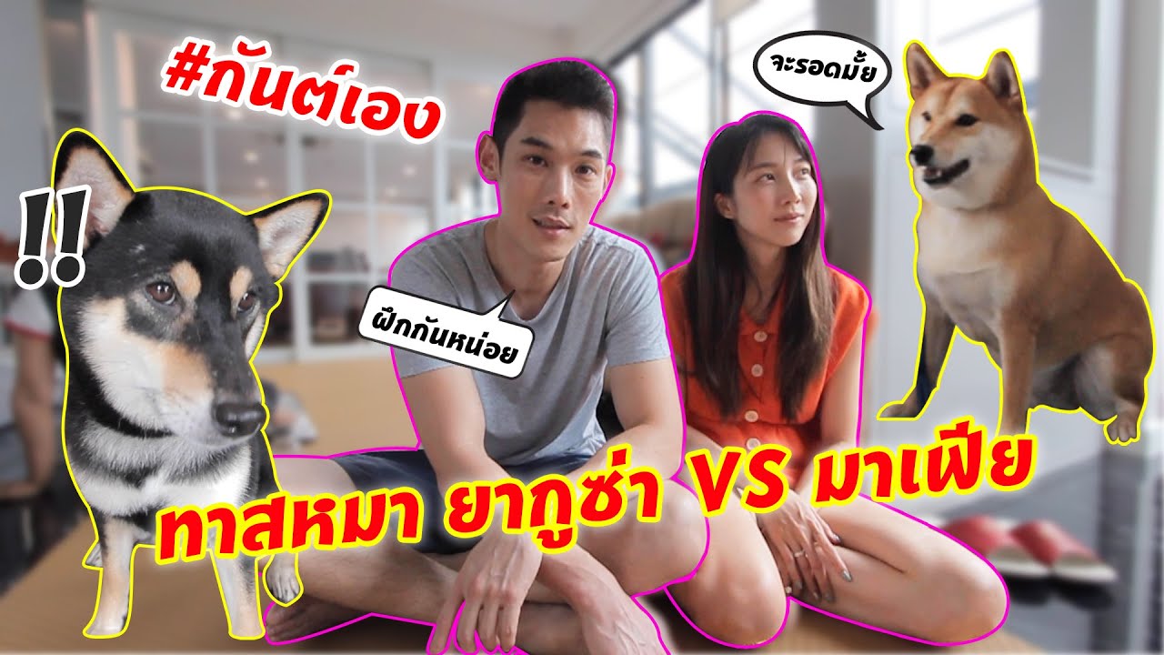 กันต์เอง - เป็นทาสเมียไม่พอ ยังเป็นทาสหมาด้วย
