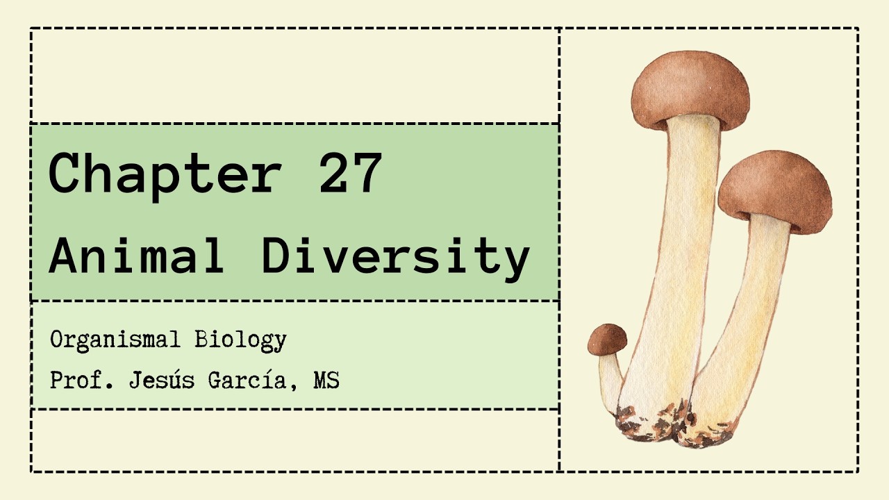 Ch 27 - Animal Diversity