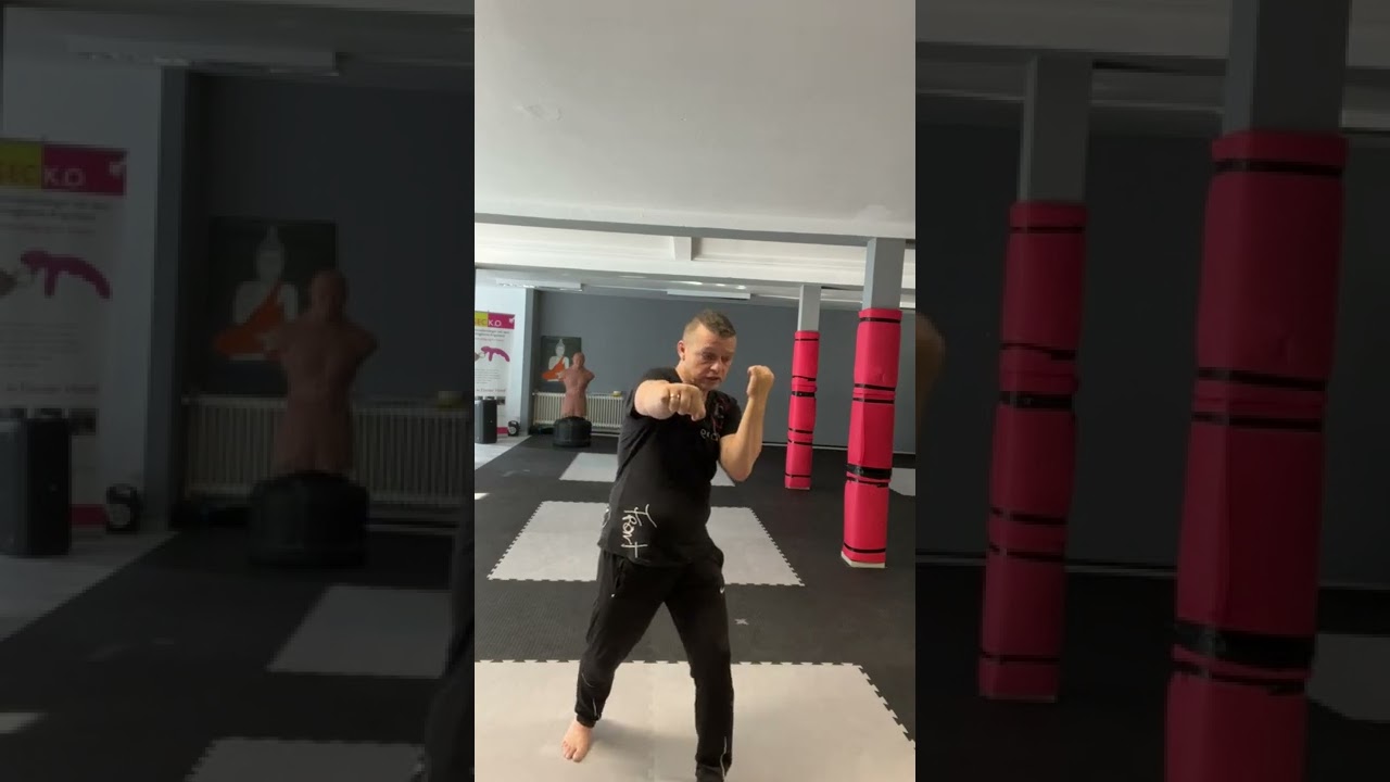 Erste Bewegung WingFight