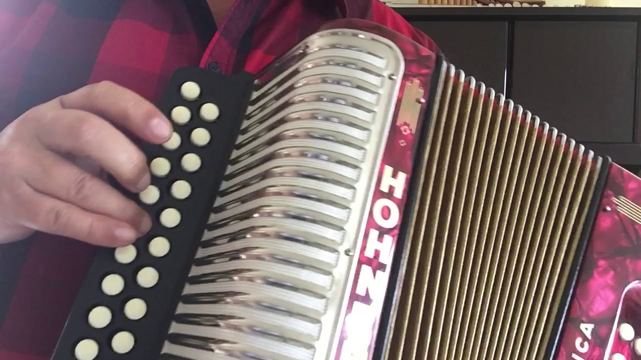 Verkaufe Hohner Erica Akkordeon C/G wie Neu!! mit Live - Video Klangprobe!