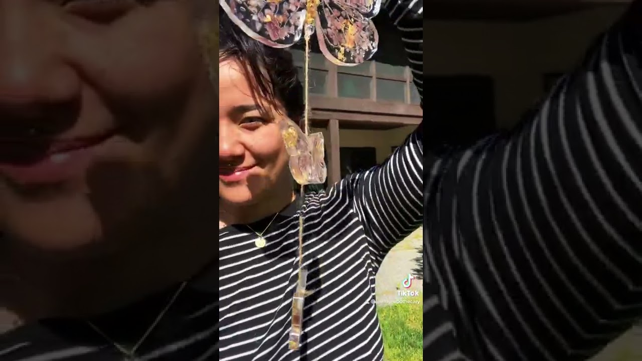 Butterfly Crystal Suncatchers🌞