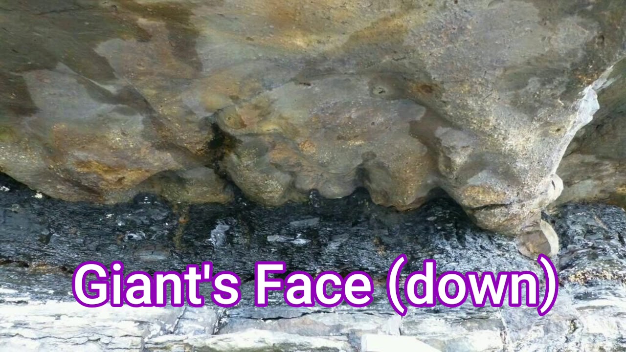 Evidence of Mudfossil Giants and their Dwellings across the Welsh Coastline!