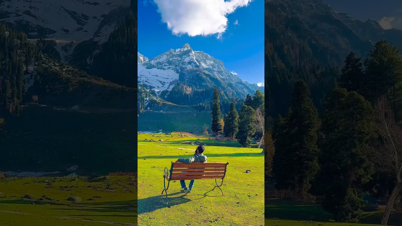 Kashmir Janat 🏔️❤️ #love #bollywood #song #music #ytshorts #lovetravel #sonmarg #travelinspiration