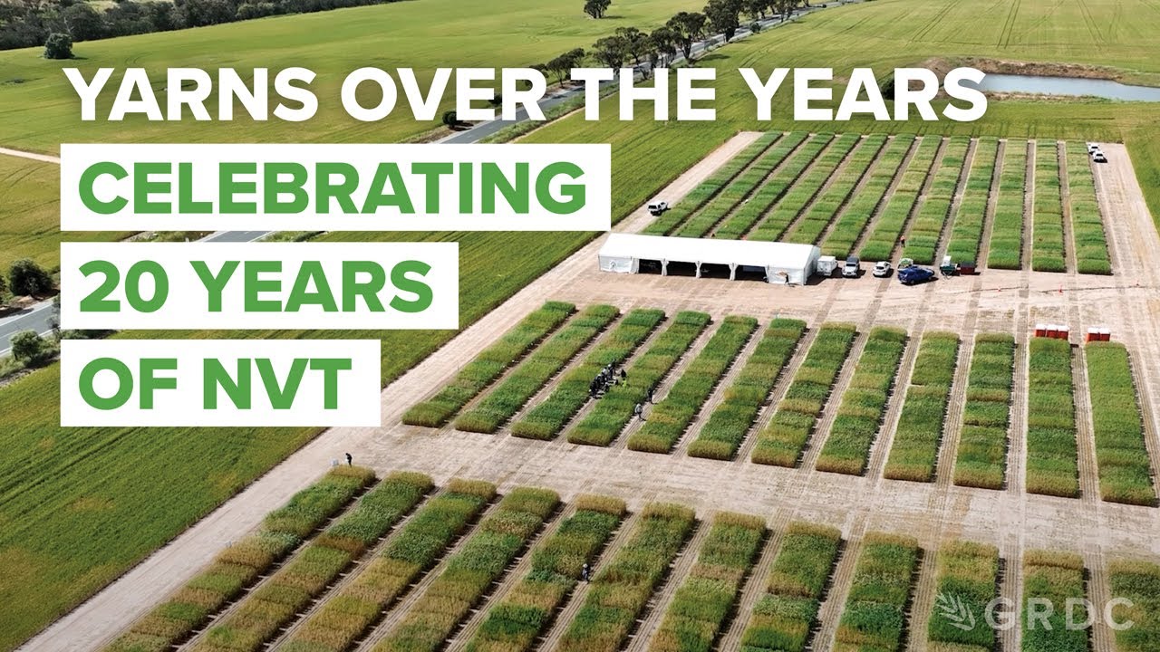 Yarns over the years: Celebrating 20 years of NVT
