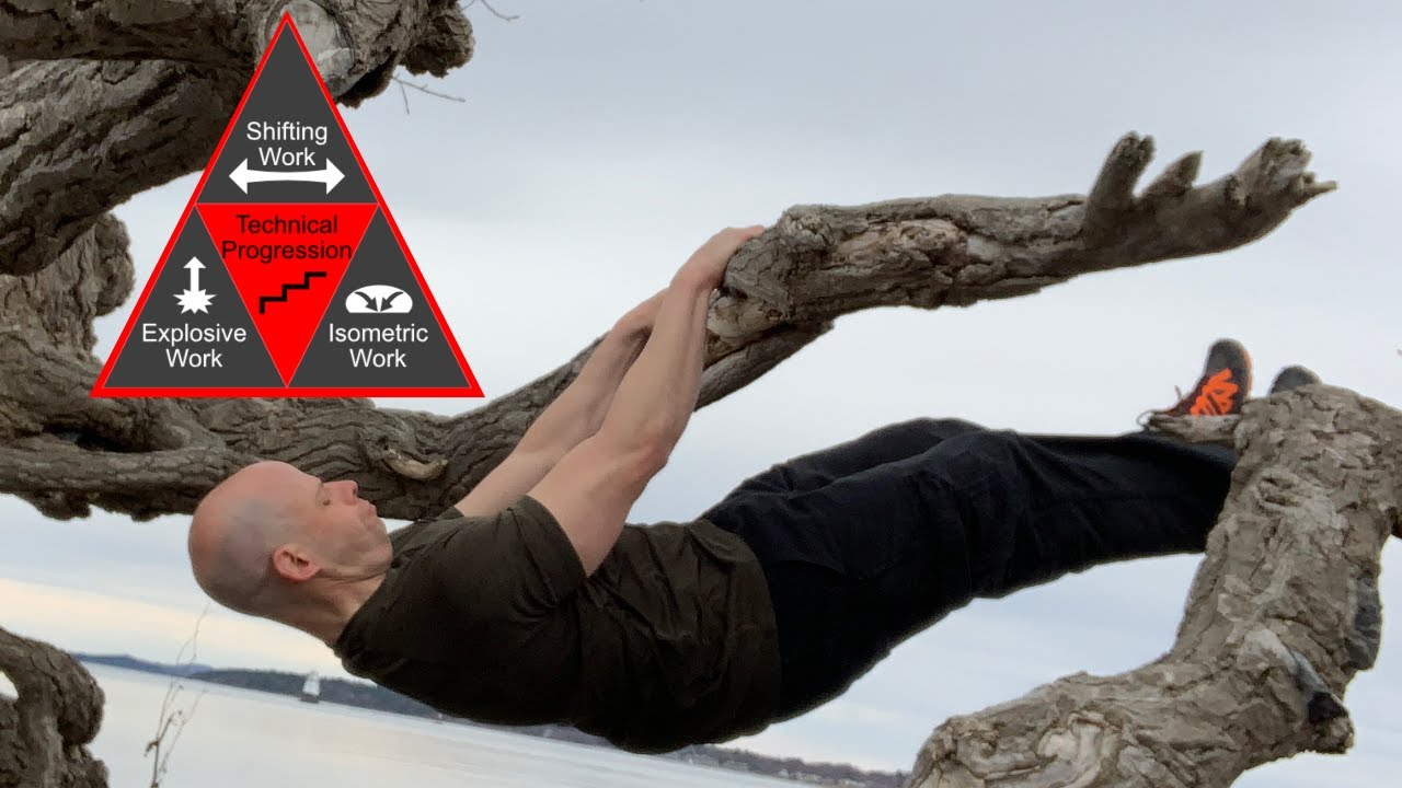 Calisthenics Tips for Martial Arts & Athletes