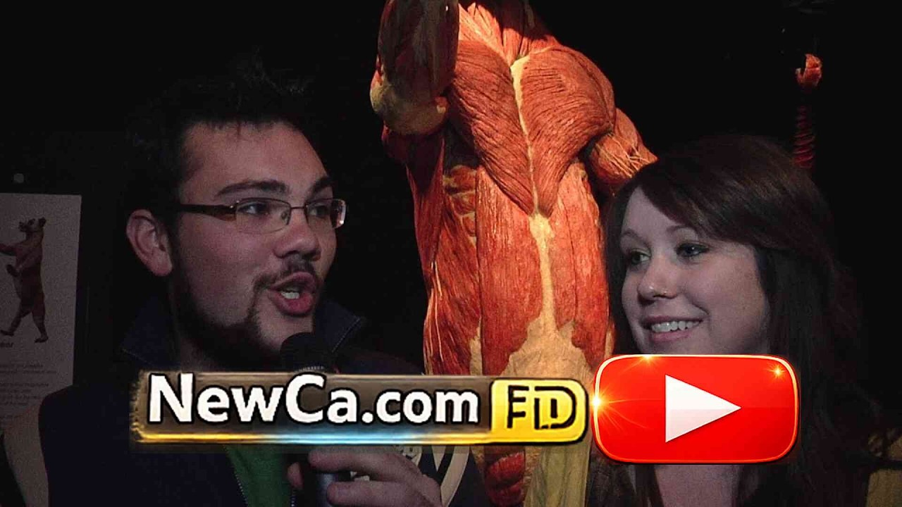 💀 Body Worlds Ex – Worldwide Premiere of the Brown Bear at the Ontario Science Centre 2010